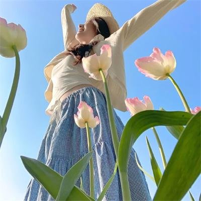 哈蜜